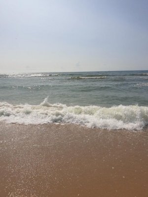 D40B3124-632E-4D59-858B-99BCBC74DEDE.jpeg