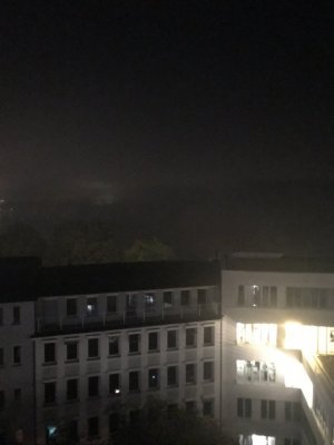 IMG_5682.JPG
