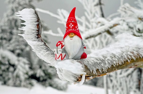 Weihnachten 2023.jpg Weihnachten 2023.jpg